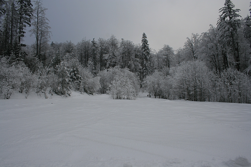 Bieszczady 12.2007 004